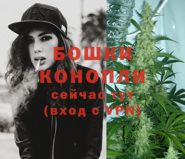 spice Вязники