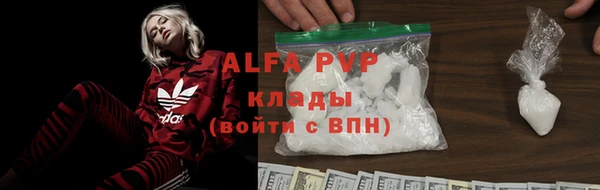 spice Вязники